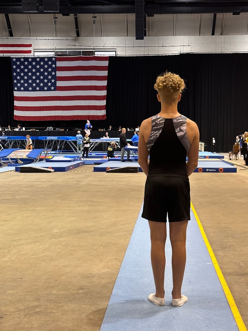 Elite World Gymnastics photo 3