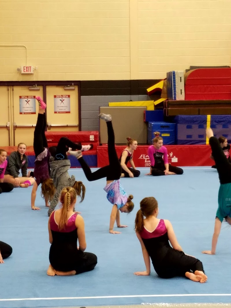 Dynamic Flights Gymnastics photo 3