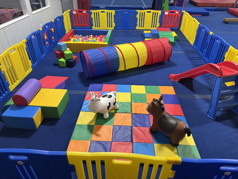 Pearl Gymnastics Center LLC photo 3