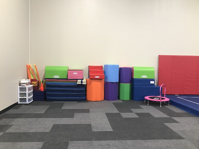 New England Gymnastics Training Center L.L.C. photo 3