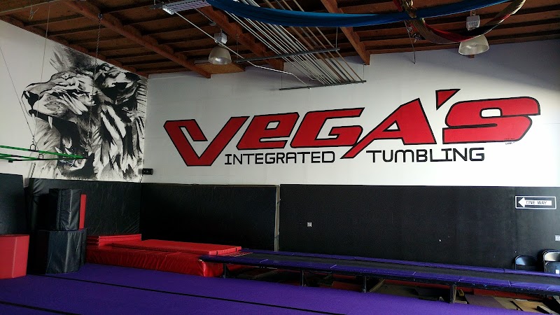 Vega Gym photo 3