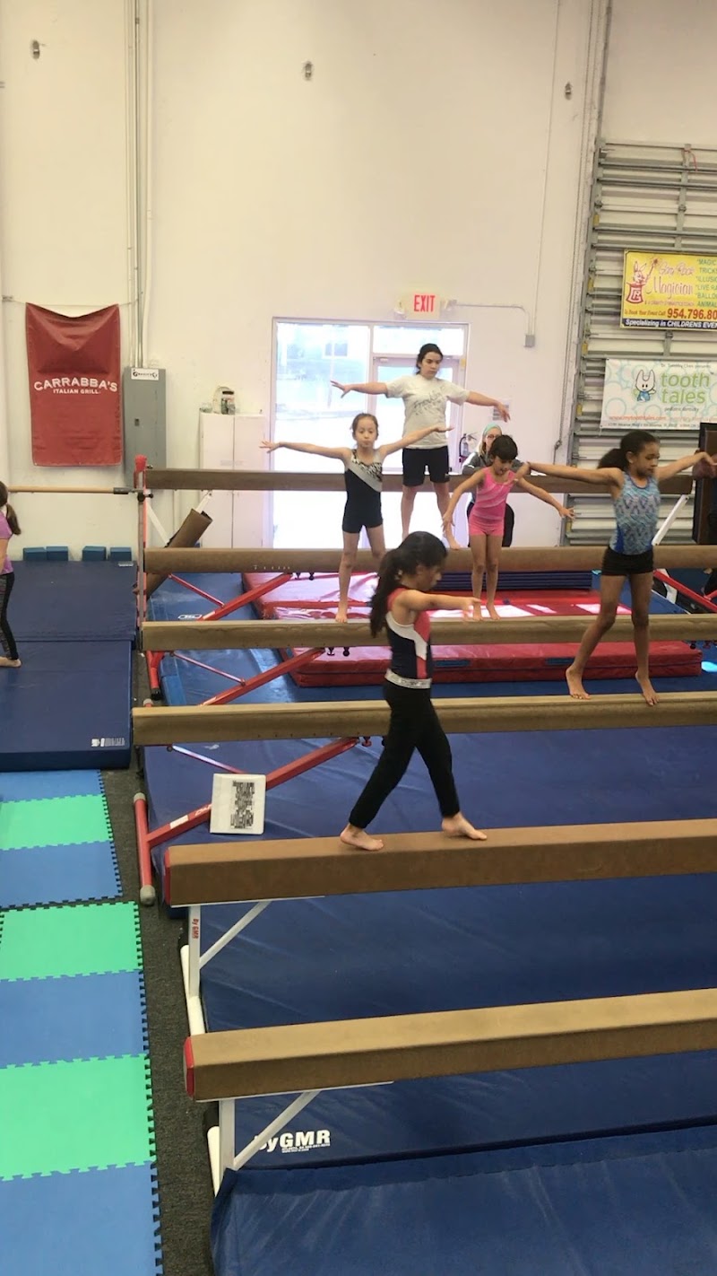 Gymnastics Palace LLC photo 2