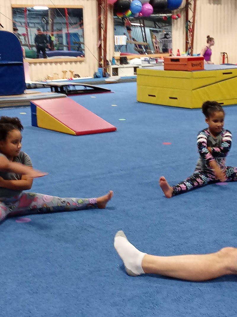 Falcon Gymnastics and Fitness photo 2