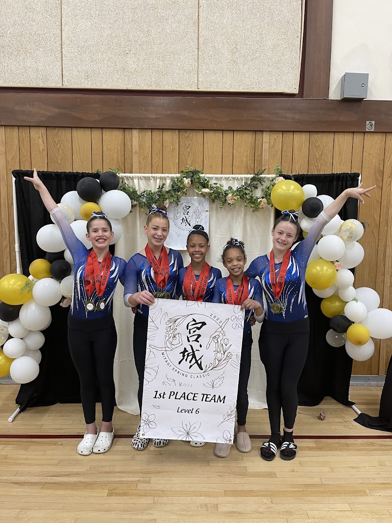 Rodina Elite Gymnastics Academy photo 2