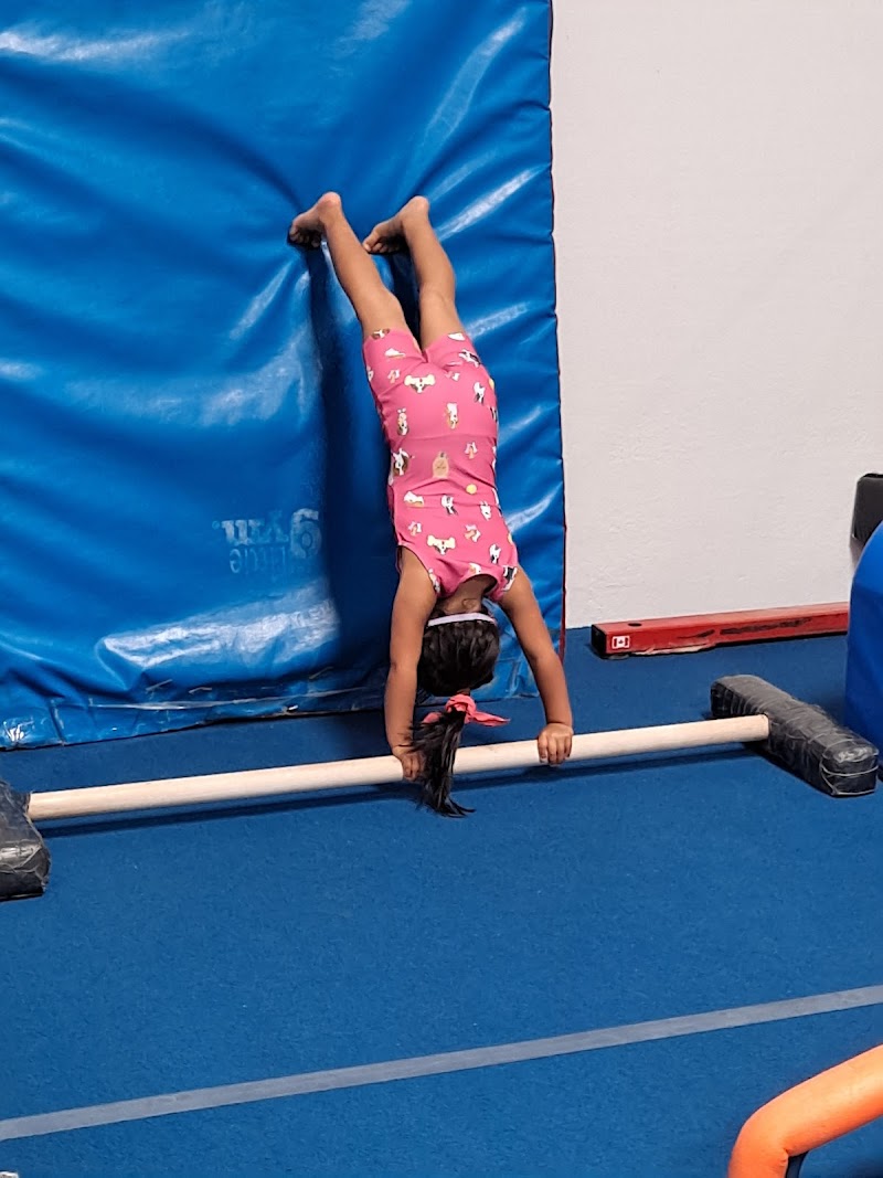 Extreme Gymnastics INC photo 3