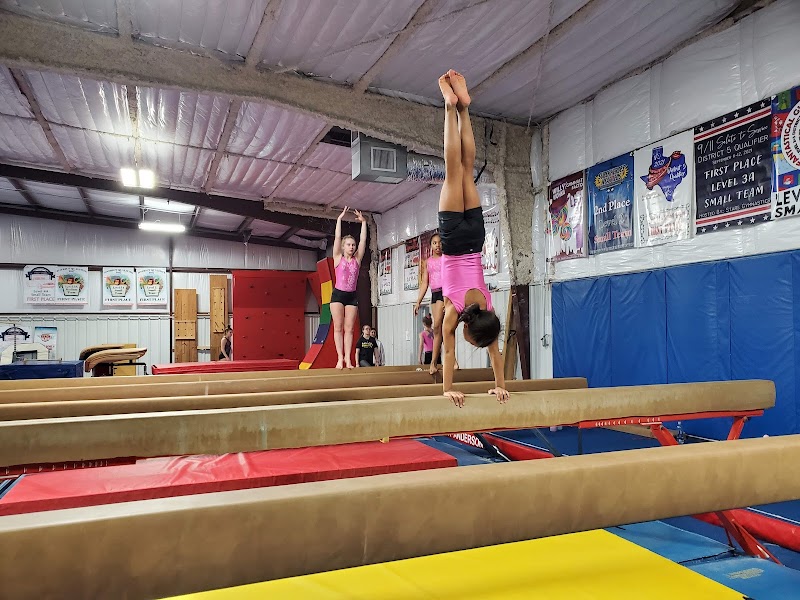 Basel's All Star Gymnastics and Cheer photo 2