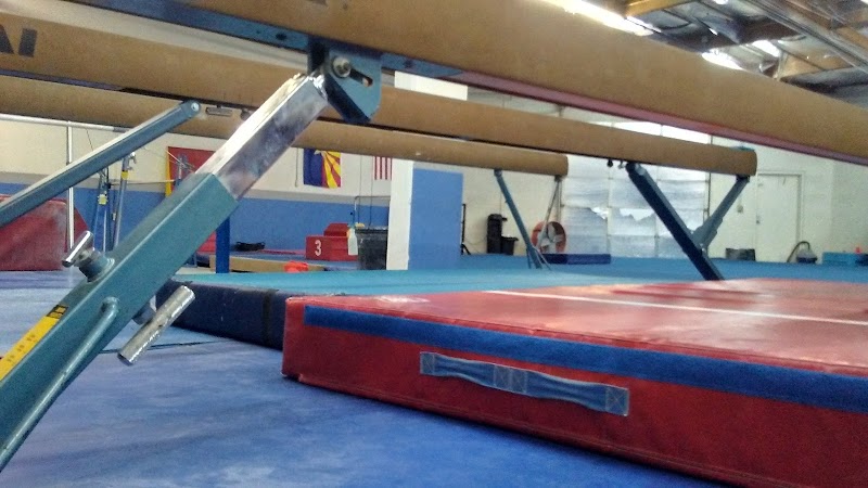 Precision Gymnastics