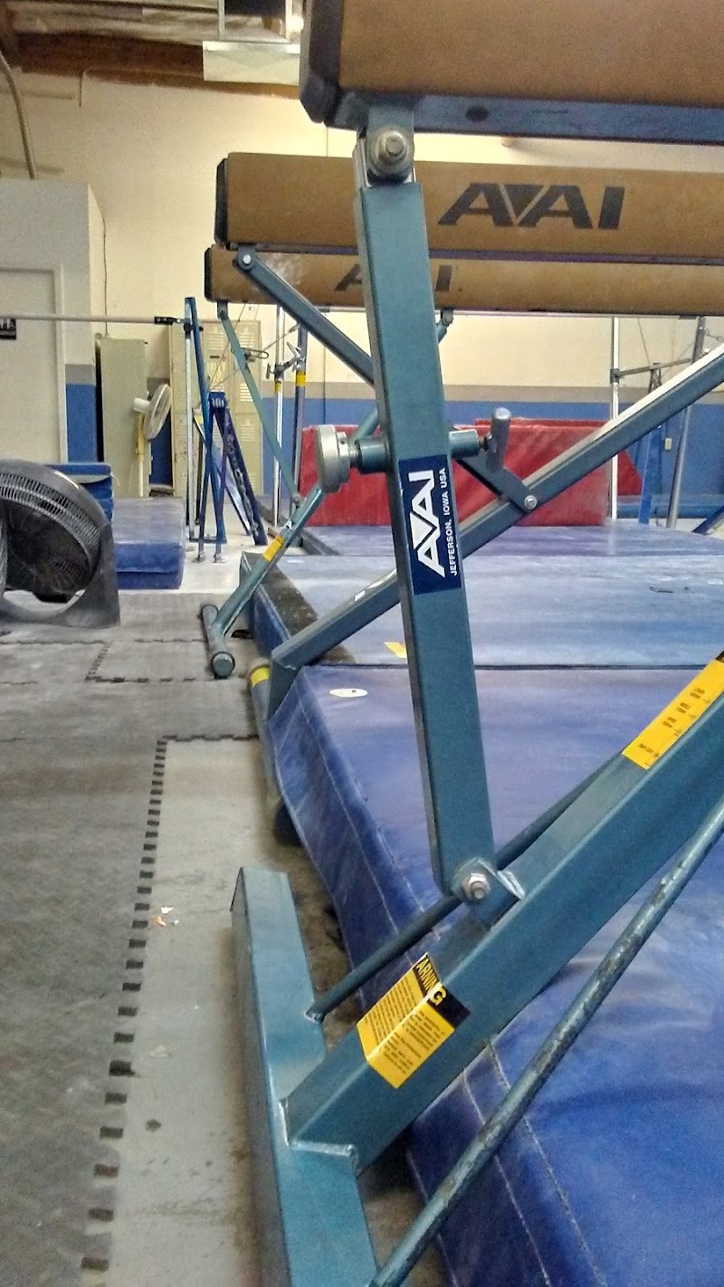 Precision Gymnastics photo 3