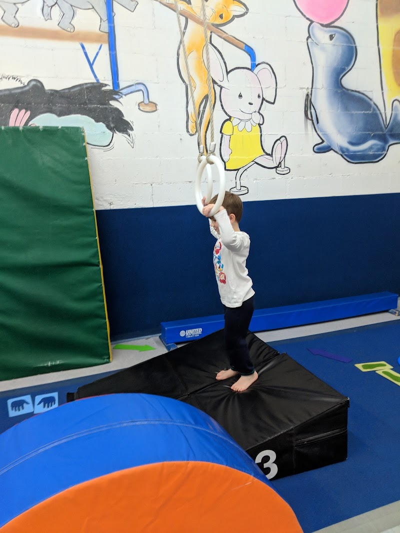 St. Louis Gym Centre photo 2
