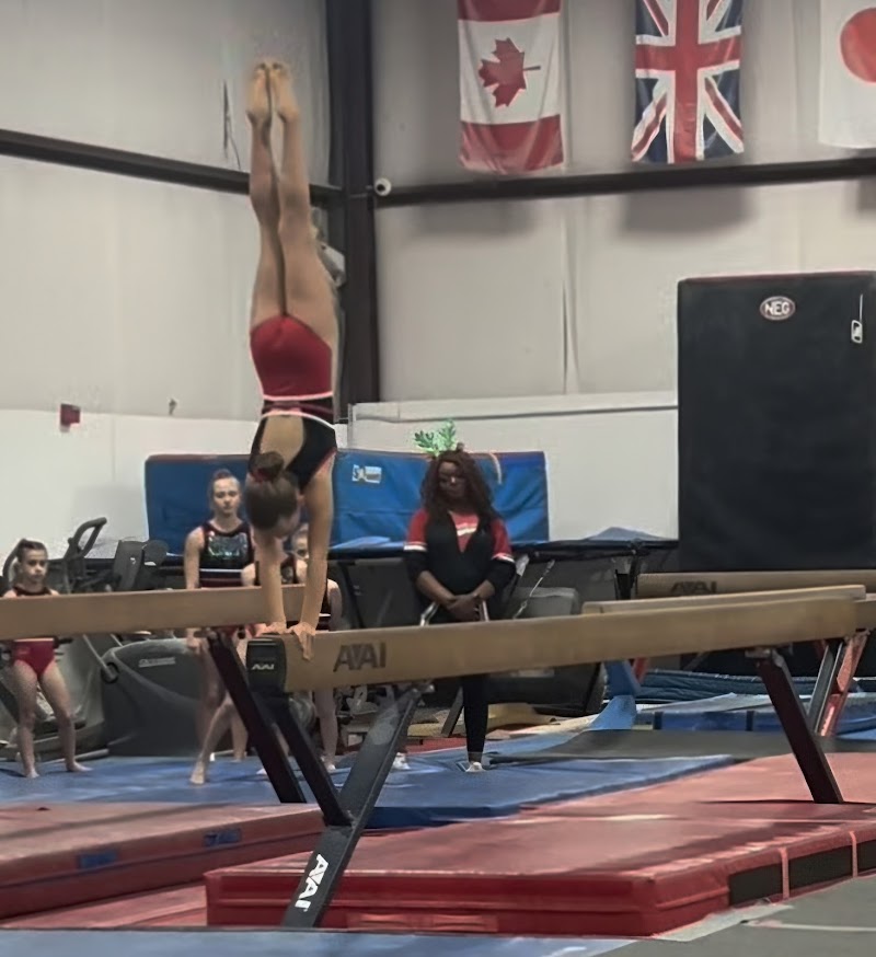 National Elite Gymnastics photo 3