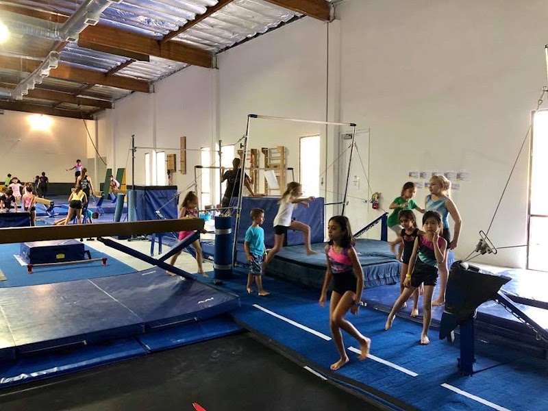 Dream Elite Gymnastics Academy photo 2