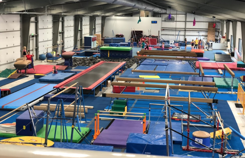 Precizion 509 Gymnastics