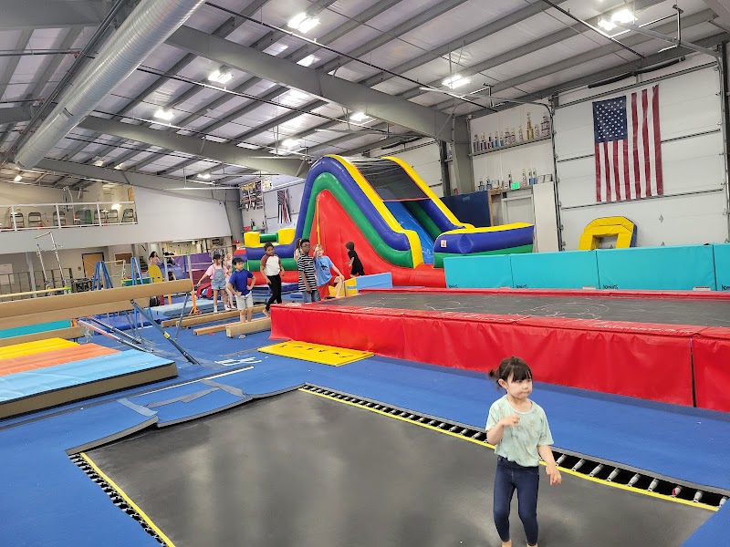 Precizion 509 Gymnastics photo 2