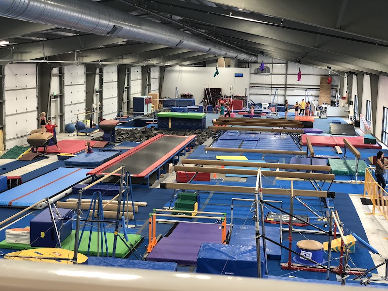 Precizion 509 Gymnastics photo 3
