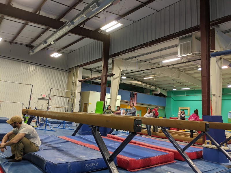 All Around Gymnastics Academy photo 2