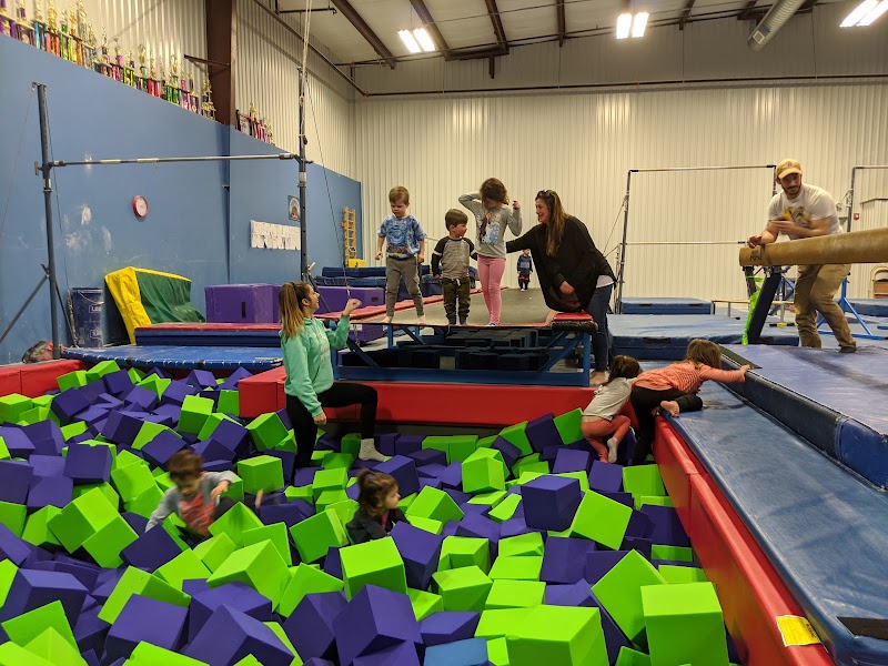 All Around Gymnastics Academy photo 3