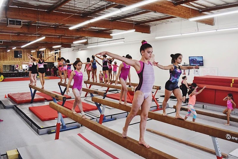 Matrix Gymnastics LLC photo 3