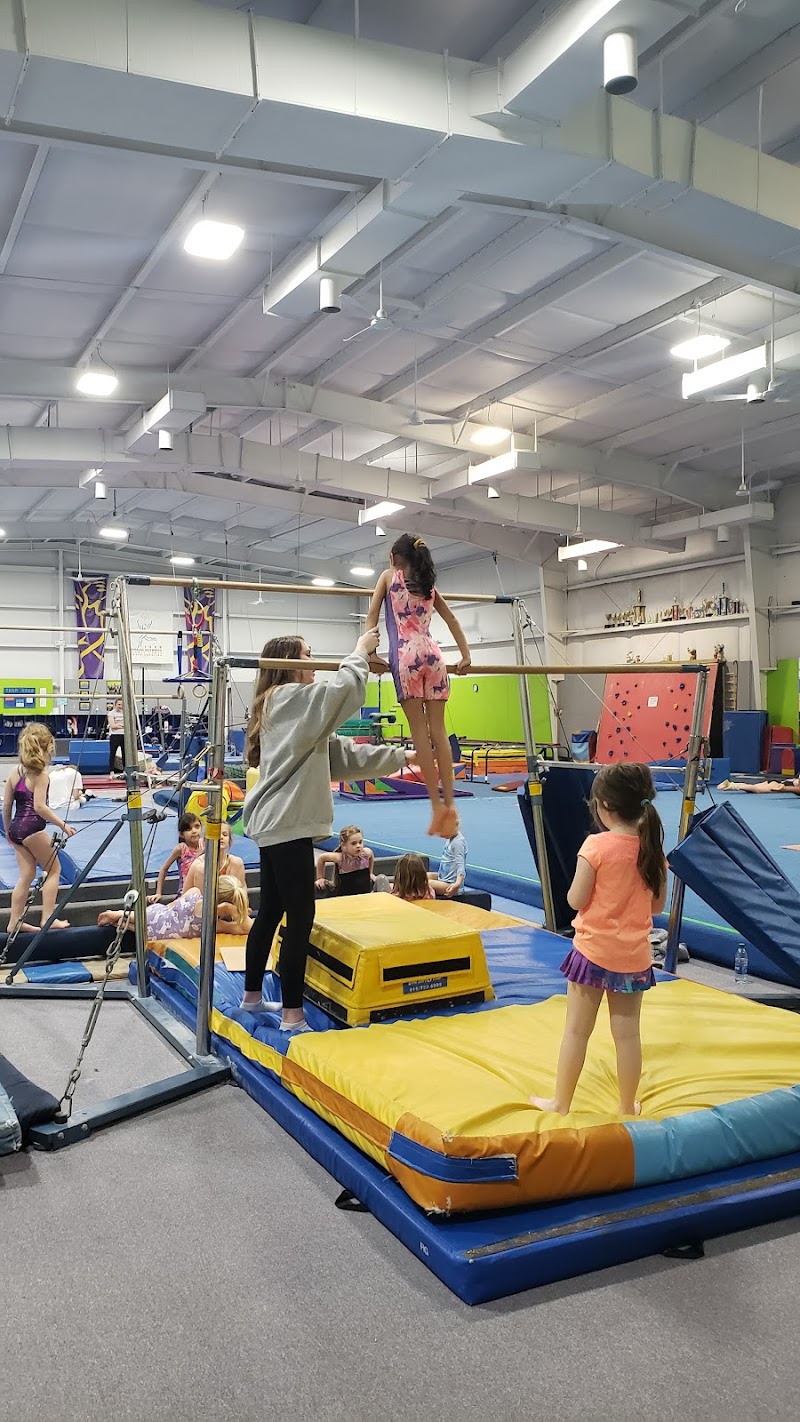 Artistic Gymnastics School Inc. photo 2