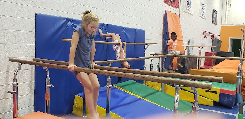 Paragon Gymnastics MD photo 3
