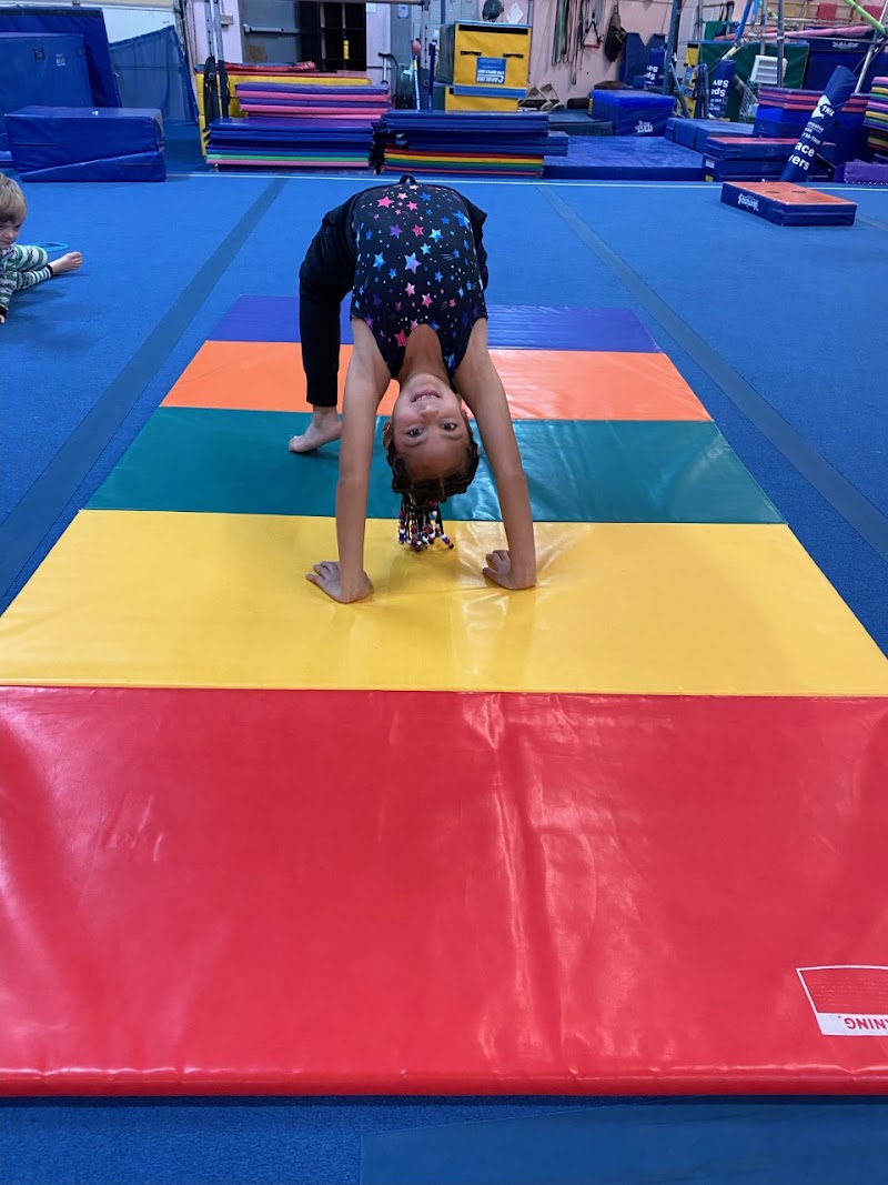 Apex Gymnastics photo 3