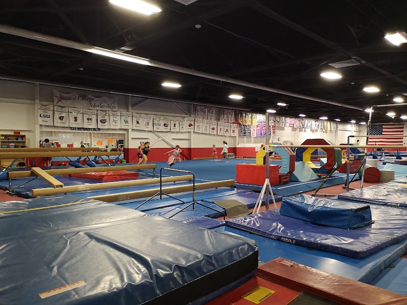 Stars Gymnastics Training Center-Houston photo 2