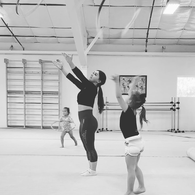 Texas Rhythmic Academy photo 3
