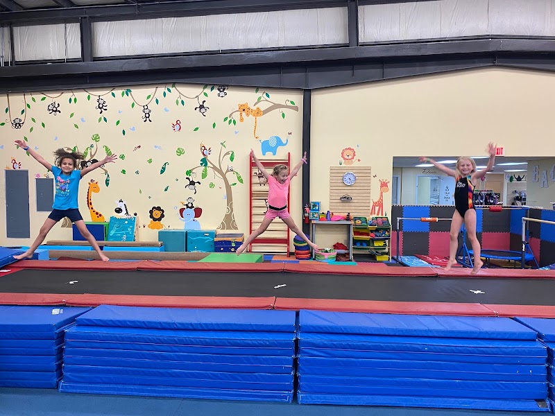 Eagles Gymnastics And Dance Ctr