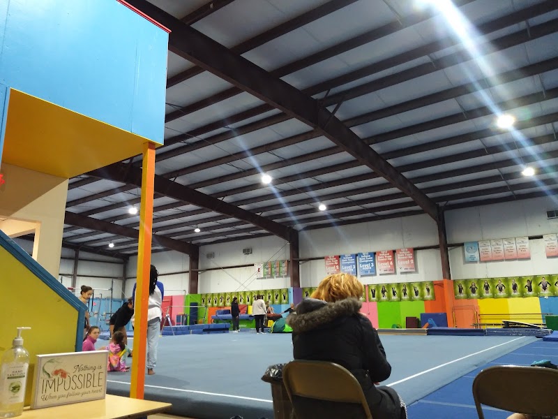 Indiana Elite Gymnastics photo 3