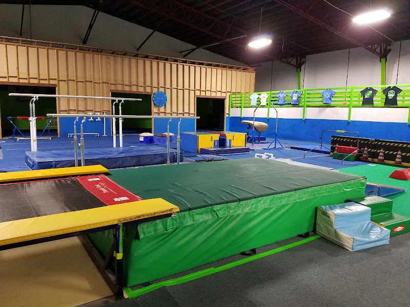 Lees United Gymnastics Academy