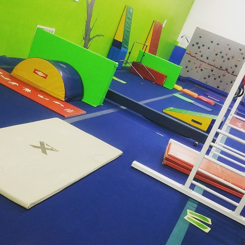 Lees United Gymnastics Academy photo 3