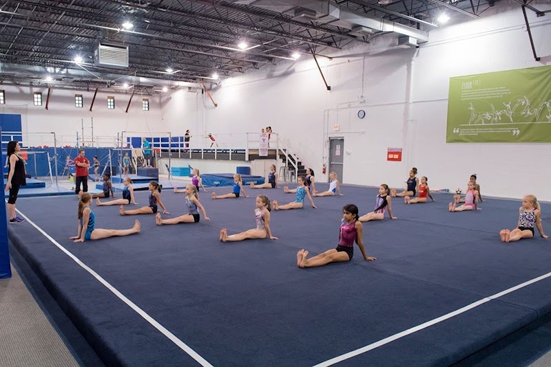 CITY Club Gymnastics Academy