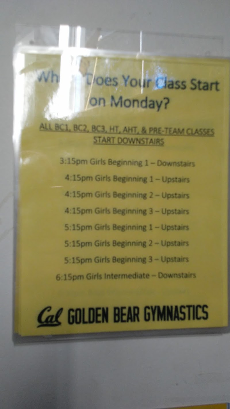 Berkeley Youth Gymnastics photo 3