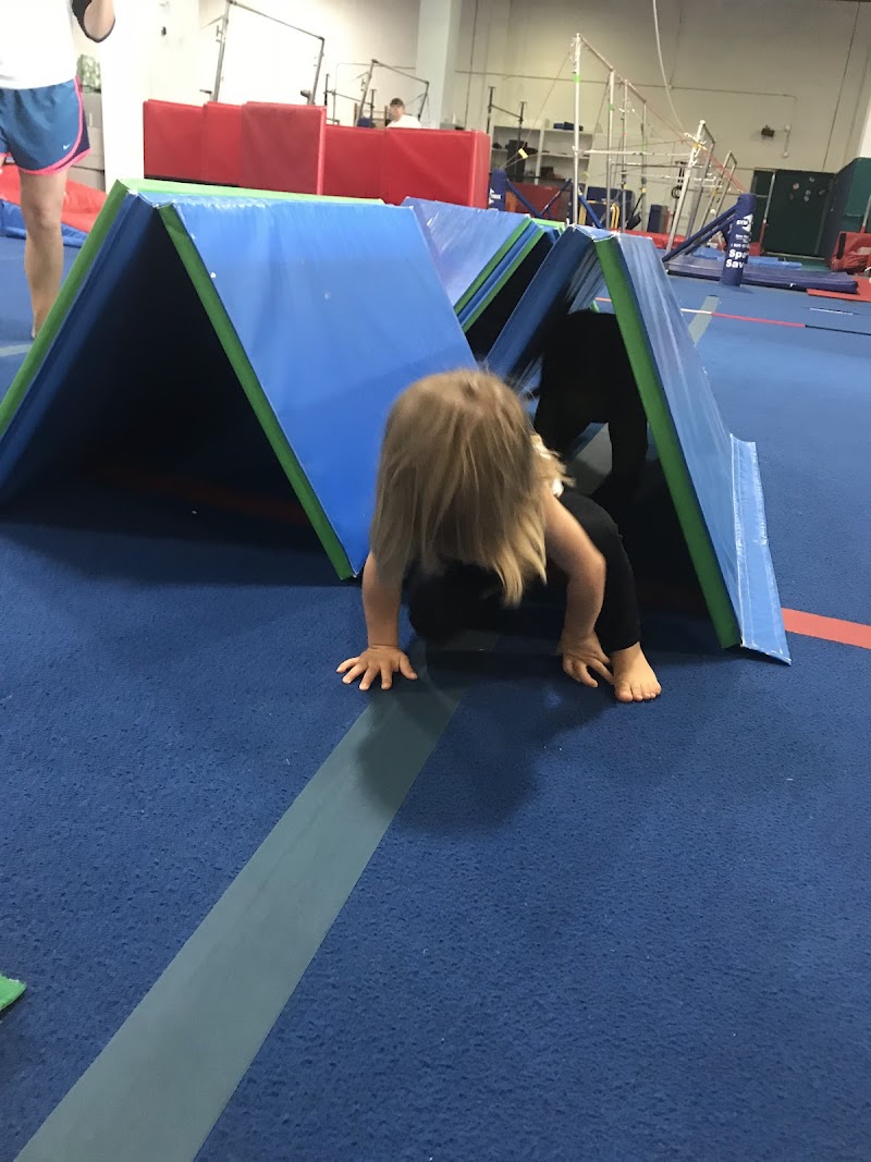 Tidewater Gymnastics Academy LLC photo 3