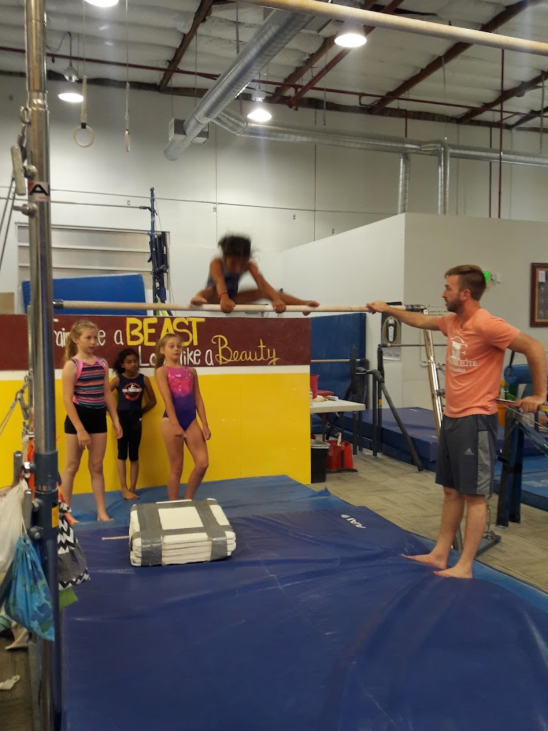 Bayshore Elite Gymnastics photo 3