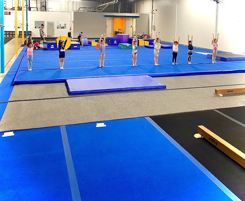Legacy Gymnastics Academy photo 3