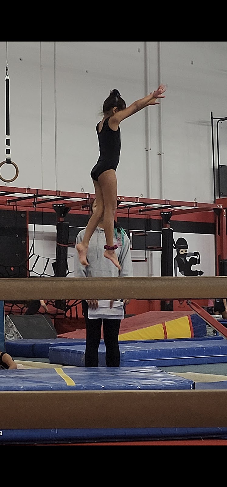Elevate Gymnastics Academy photo 2