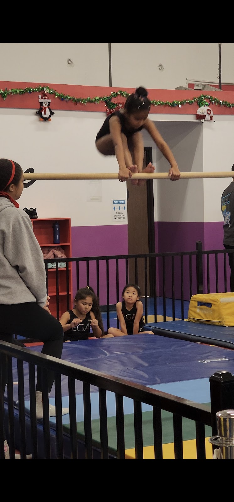 Elevate Gymnastics Academy photo 3