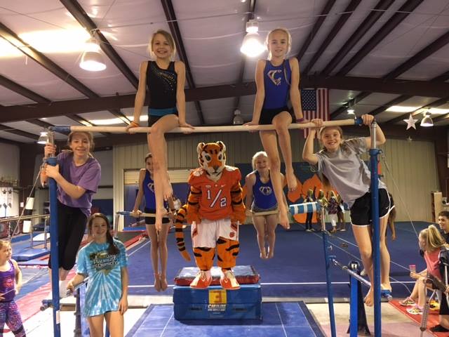 Foothills Gymnastics and Cheer Center photo 2
