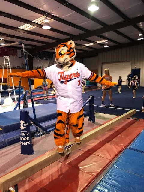 Foothills Gymnastics and Cheer Center photo 3