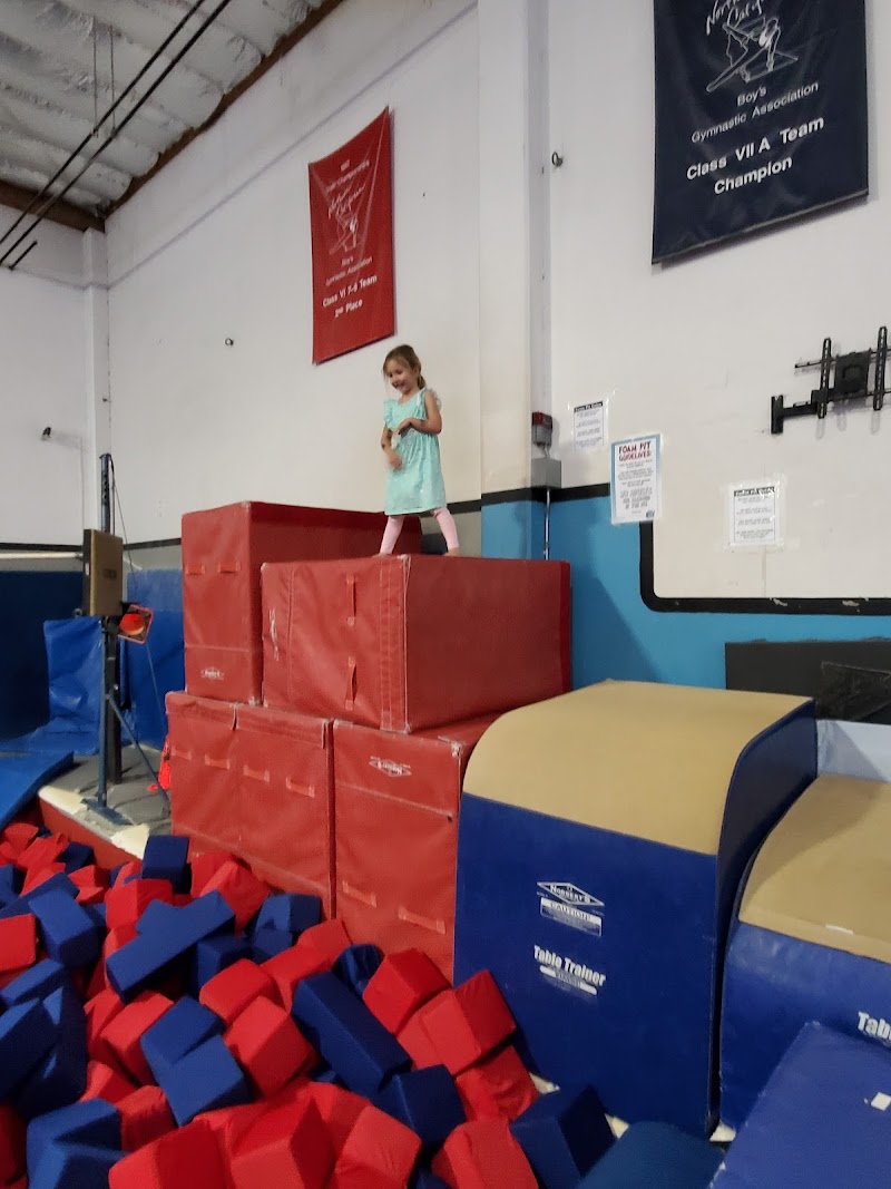 Santa Cruz Gymnastics Center Inc. photo 3