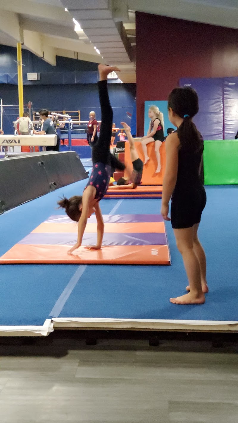 Novato Gymnastics photo 3