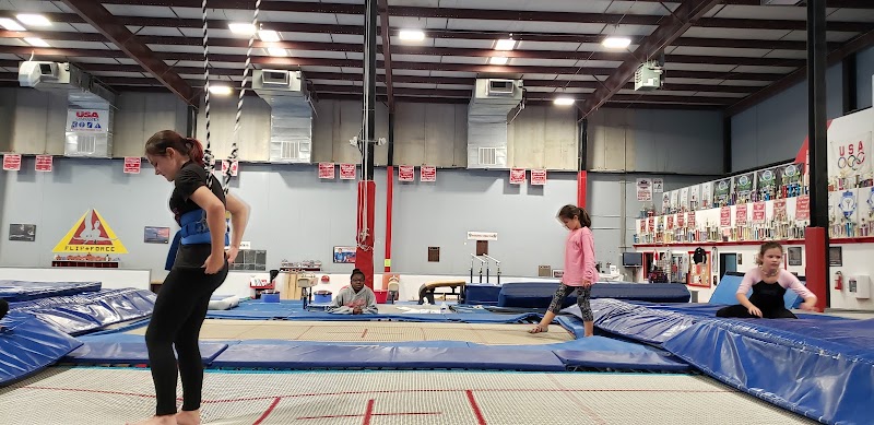 Flip Force Gymnastics LLC photo 3