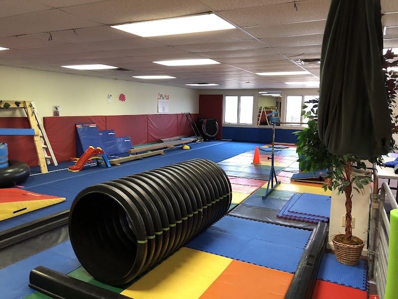 The Jungle Gymnastics Adventure Center photo 2