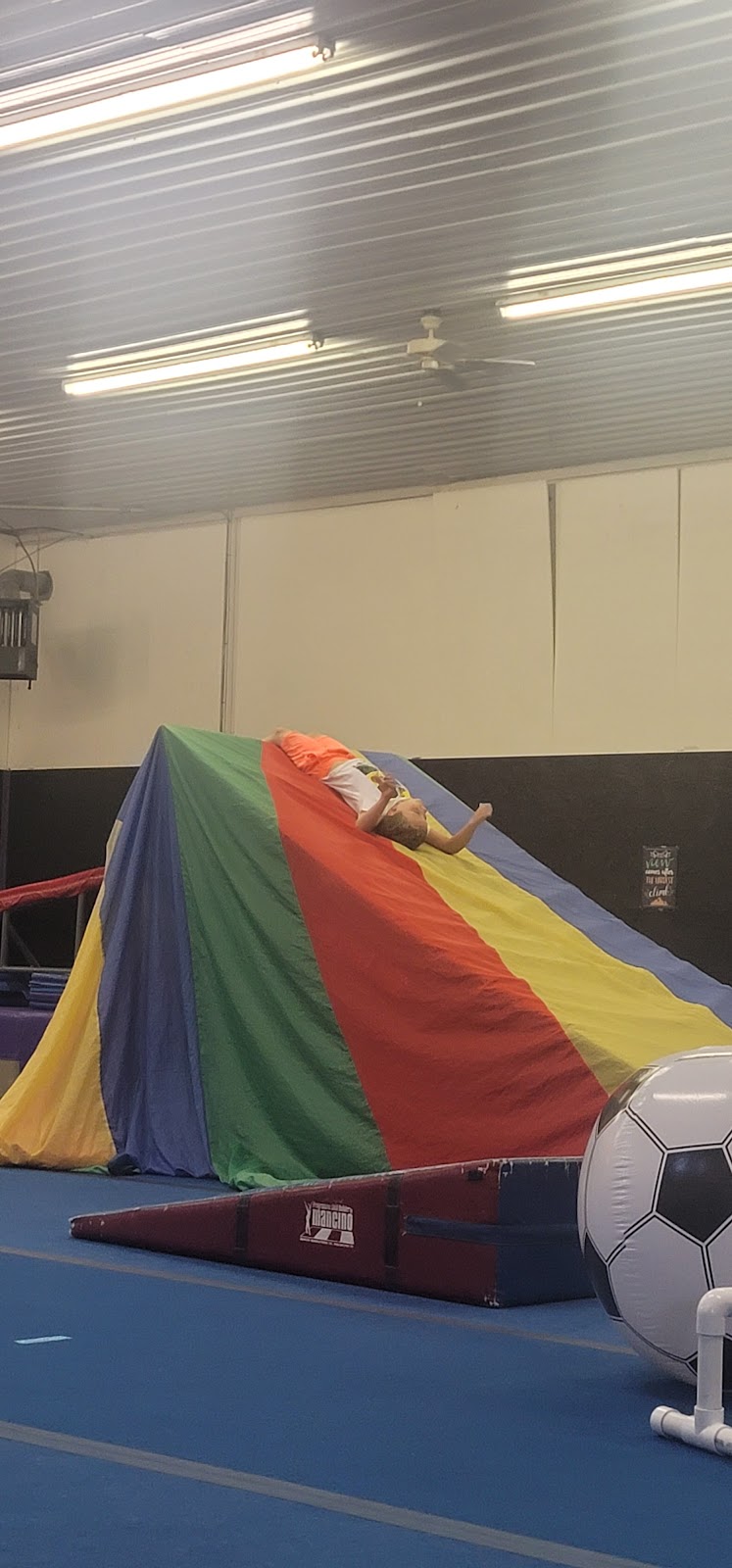 Grace Gymnastics Club, LLC photo 2