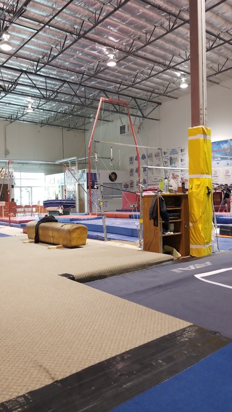 Deltchev Gymnastics Academy