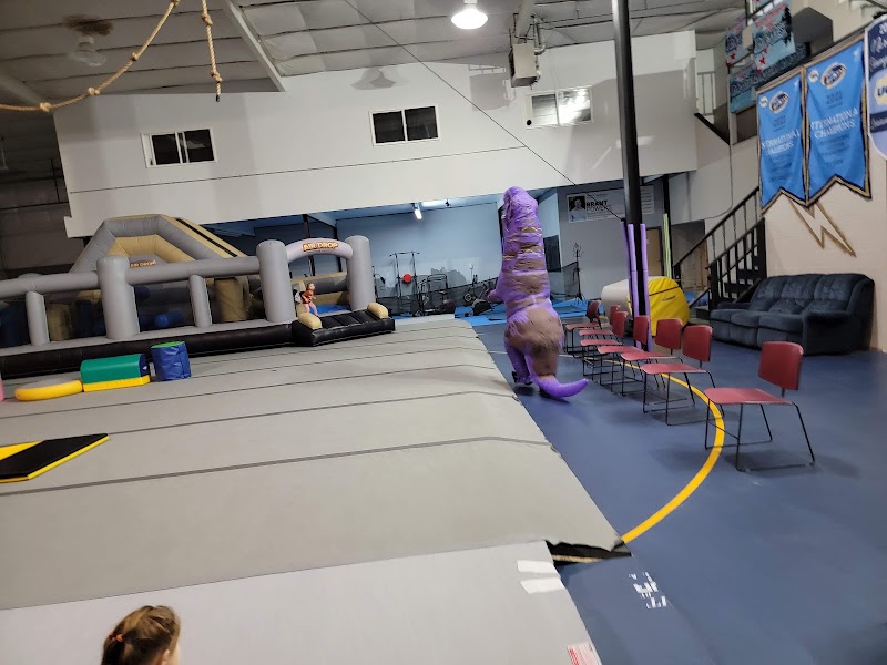 Tri City Elite Gymnastics LLC