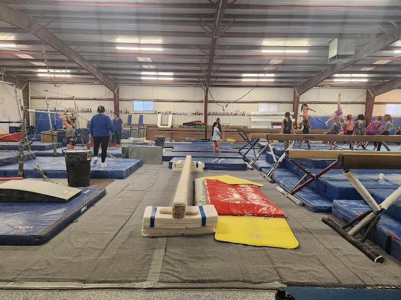Denver School of Gymnastics photo 2