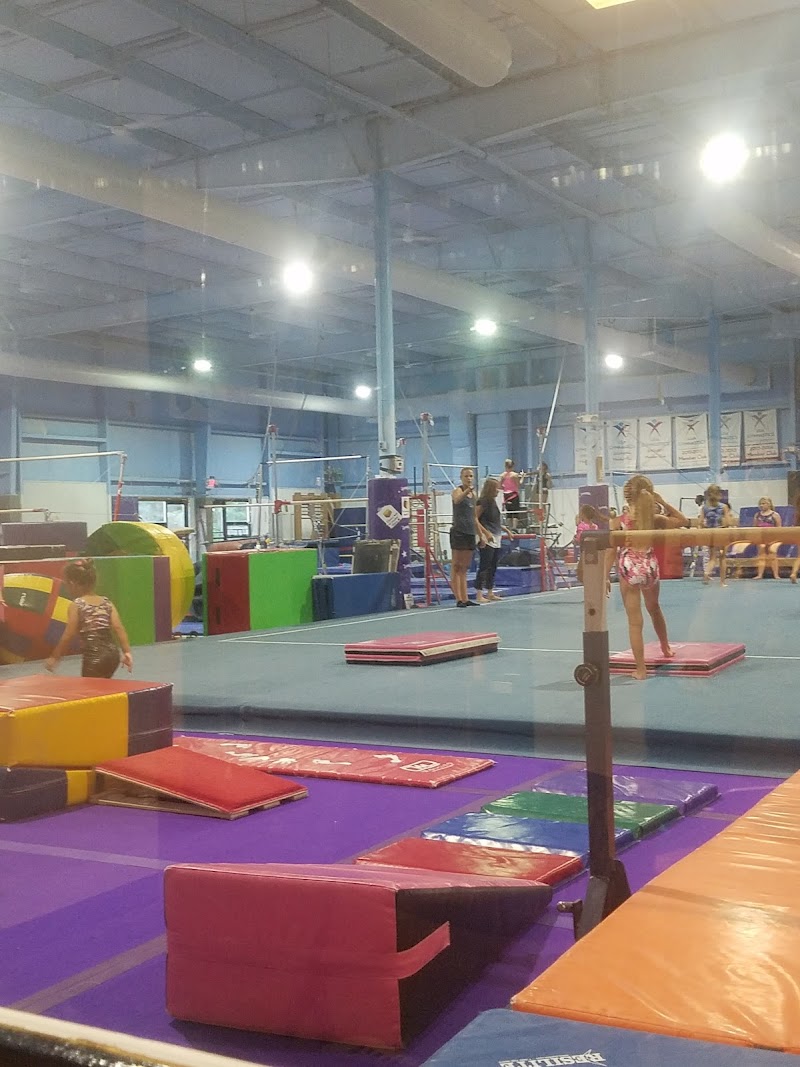 Action Gymnastic Academy