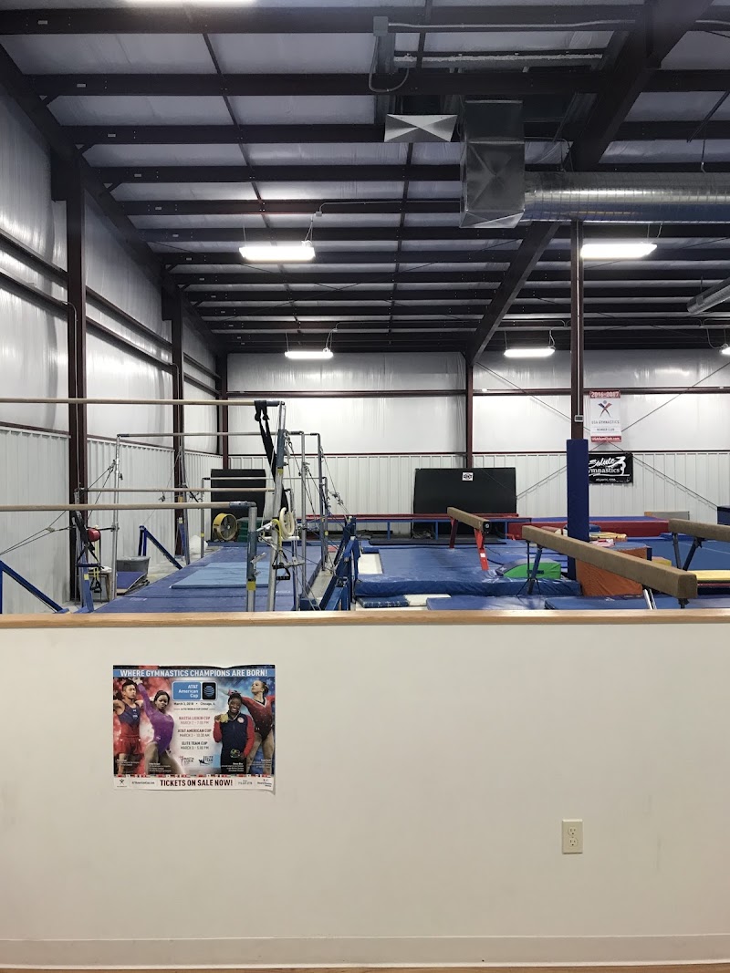 Salute Gymnastics photo 3