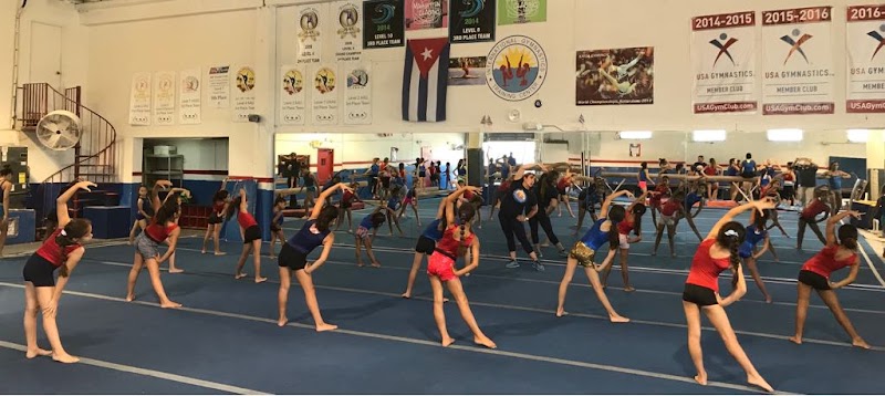 Gymnastic Wizards
